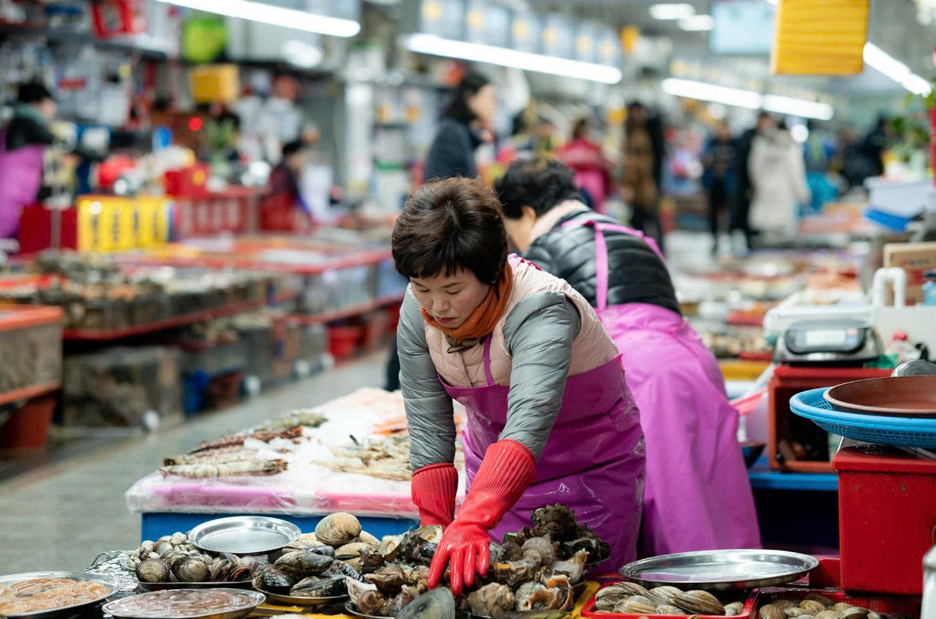 Chợ Cá Jagalchi: Trái Tim Của Cảng Biển Busan