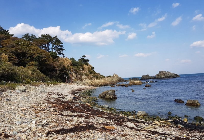 Bãi Biển Jinha: Nơi Hòa Mình vào Bãi Cát Trắng và Biển Xanh ở Busan