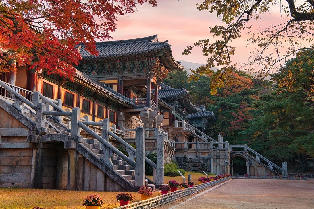 Gyeongju: Thành Phố Cổ Kính của Hàn Quốc, Nơi Di Sản Văn Hóa Lưu Giữ Sức Sống Lịch Sử