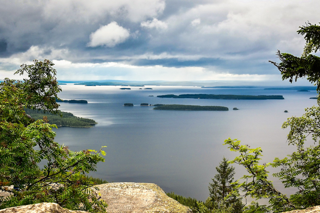 Công viên Quốc gia Koli: Thiên Nhiên Hùng Vĩ và Phong Cảnh Nên Thơ ở Phần Lan