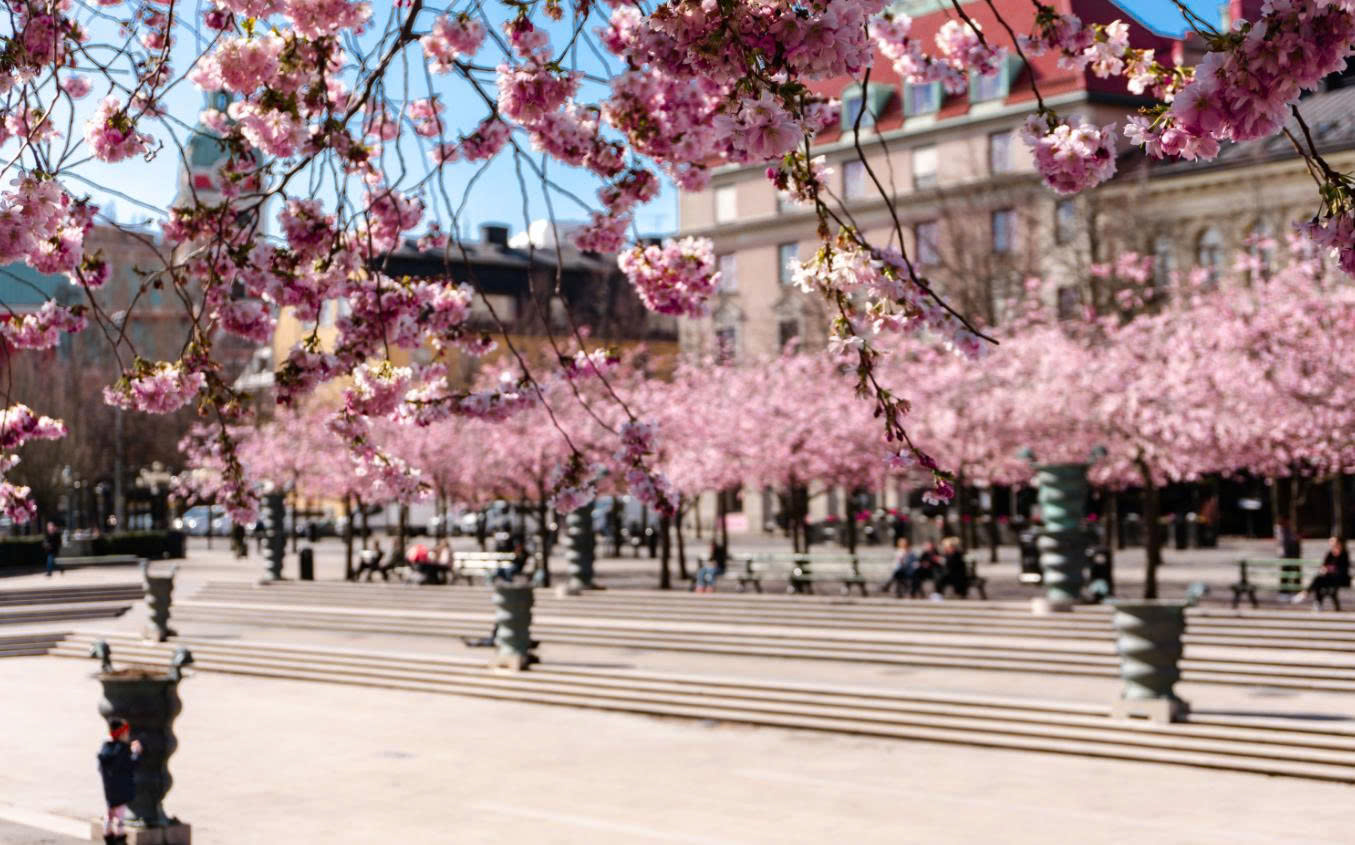 Kungsträdgården: Oasis Nghệ Thuật và Thiên Nhiên Tại Trái Tim Stockholm