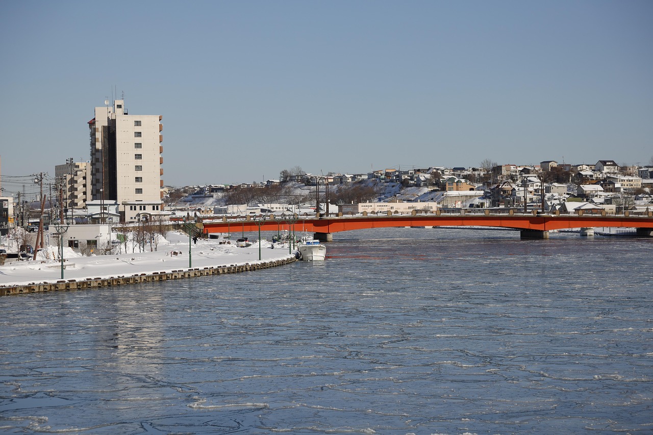 Cảnh quan tự nhiên ở Kushiro: Tham gia du thuyền khám phá hồ Kushiro và ngắm những con chim hoang dã.