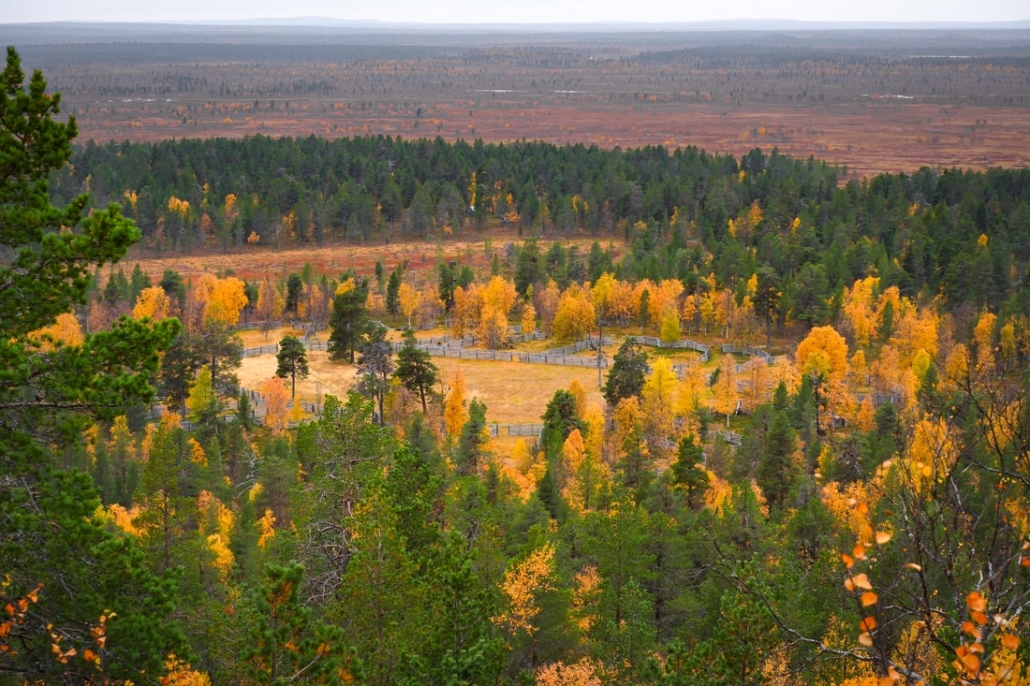 Vẻ Đẹp Hoang Sơ của Vườn Quốc Gia Lemmenjoki