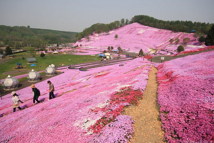 Ozora: Cảnh quan hoang sơ và không gian yên bình của vùng đồng cỏ rộng lớn.