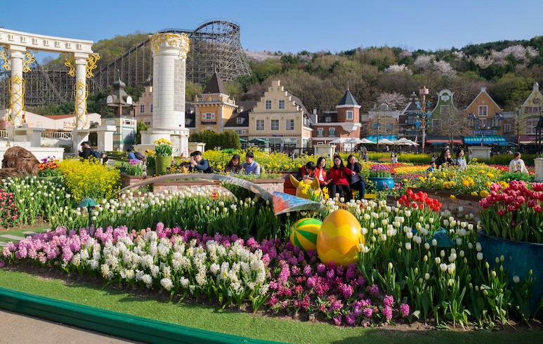Everland: Hành Trình Phiêu Lưu Trong Kỳ Quan Giải Trí Tại Hàn Quốc
