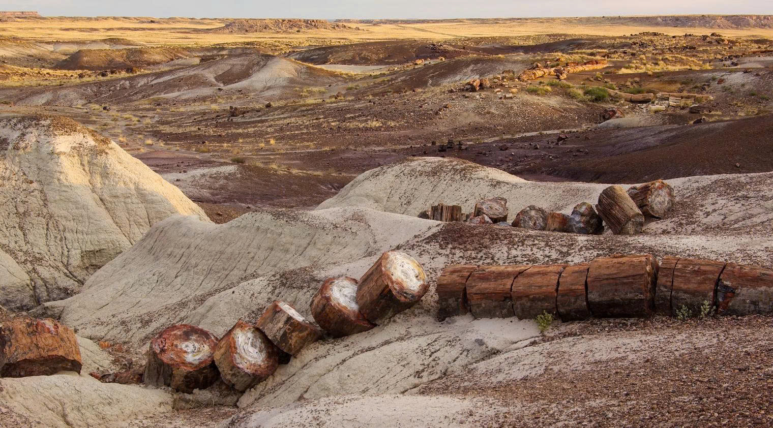 Thảo nguyên tự nhiên tốt nhất của Arizona tại Vườn quốc gia Petrified Forest