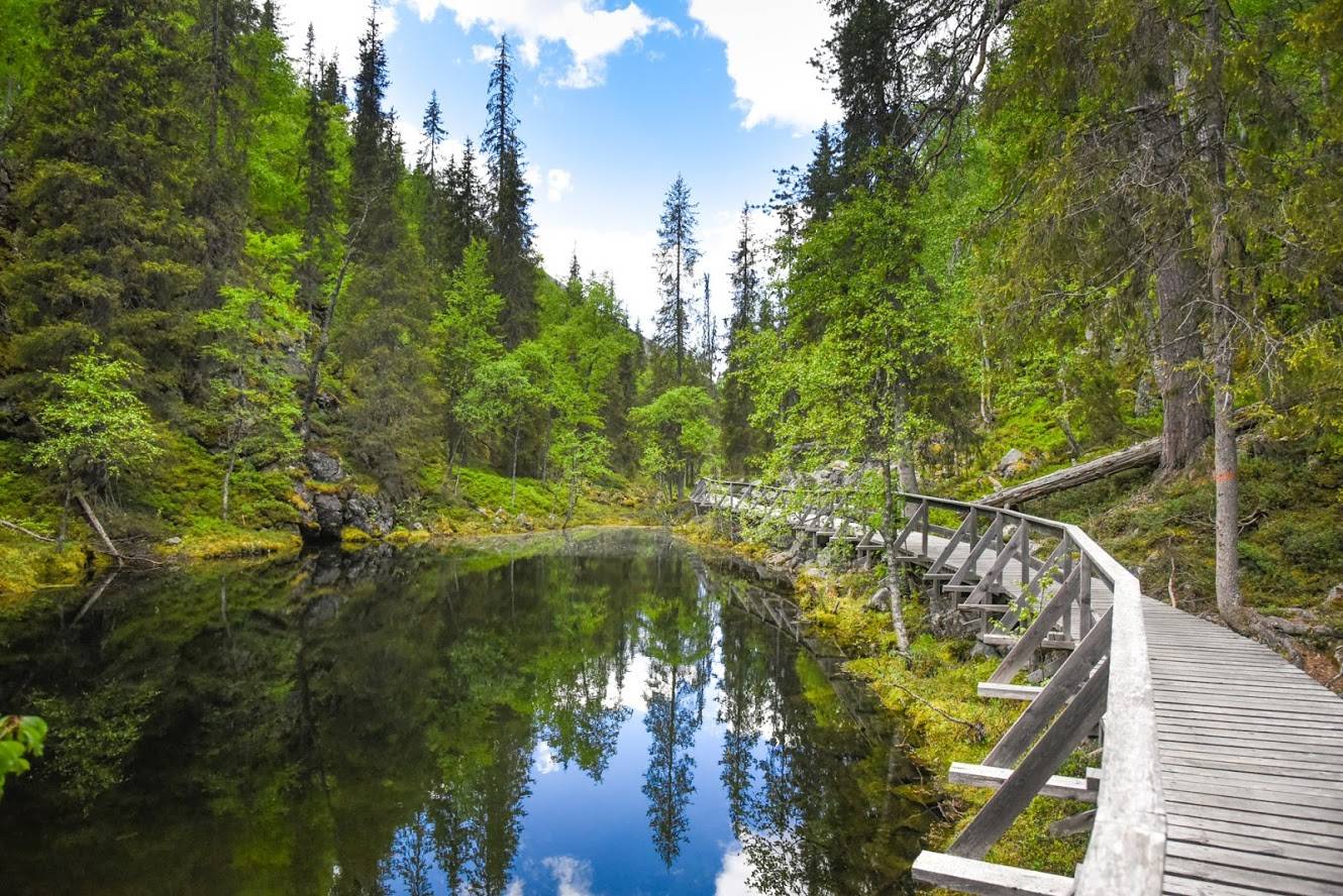 Vẻ Đẹp Tự Nhiên Tại Vườn Quốc Gia Pyhä-Luosto