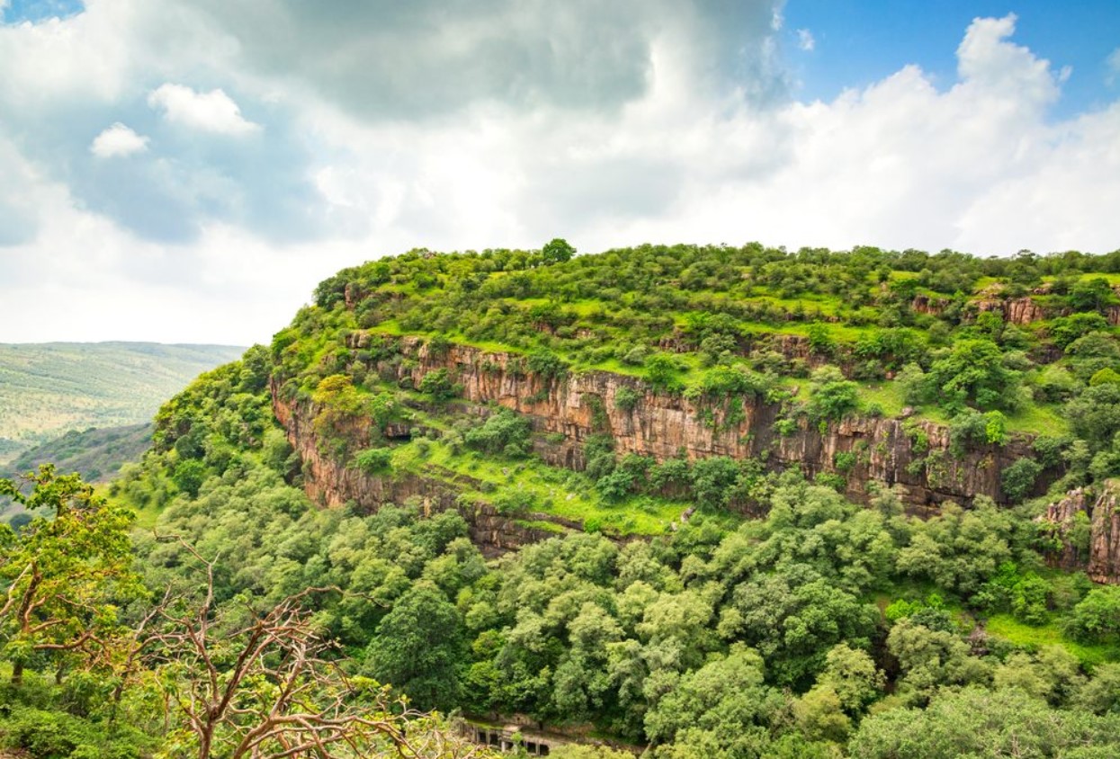 Ranthambore: Hành Trình Sâu Rừng Đến Vùng Đất Hoang Dã