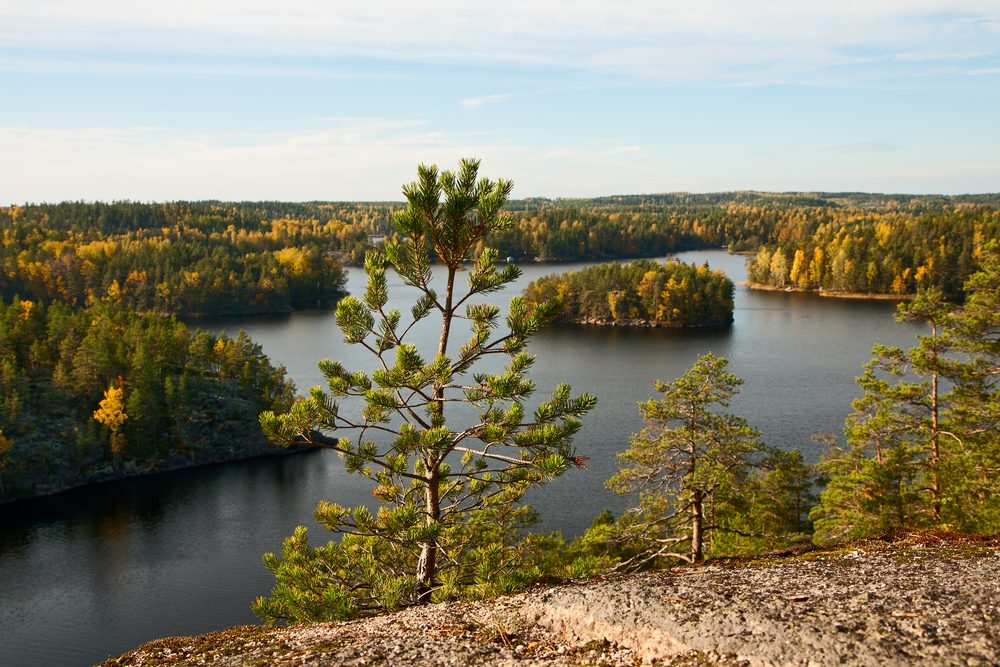 Công viên Quốc gia Repovesi: Hòa Mình vào Vẻ Đẹp Tự Nhiên ở Phần Lan