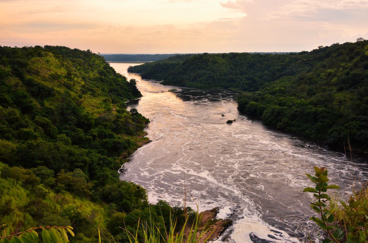 Nguồn Cảm Hứng Vô Tận: Sông Nile Trong Nghệ Thuật và Văn Hóa