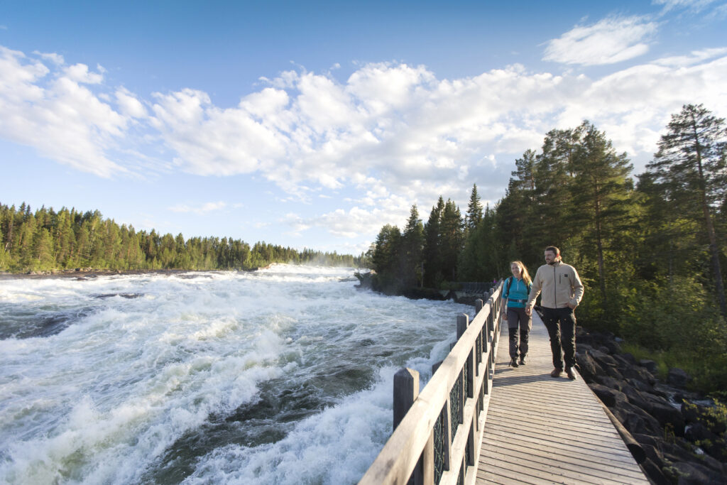 Storforsen: Dòng Thác Hùng Vĩ của Vùng Bắc Thụy Điển