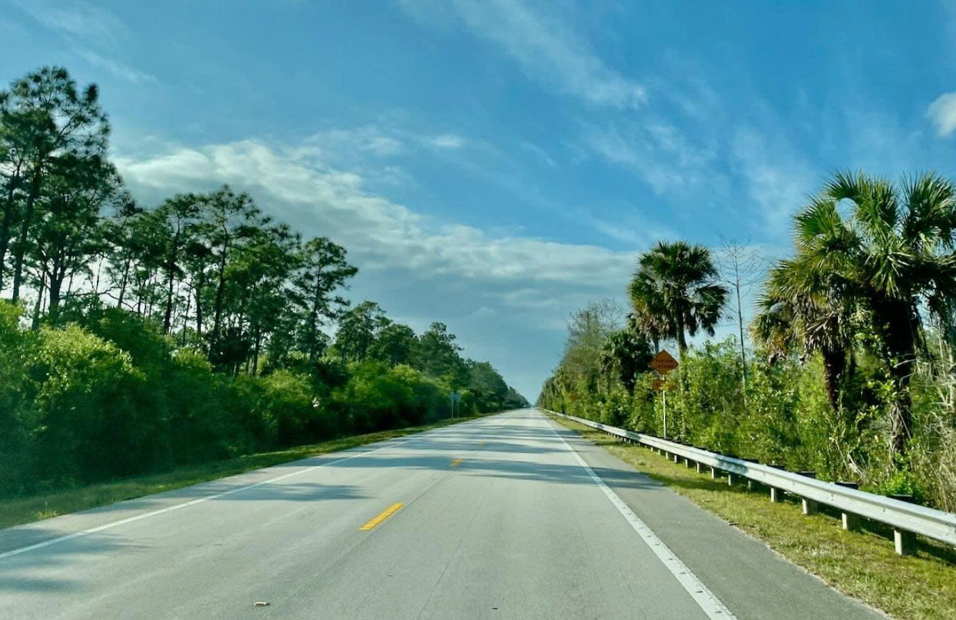 Tamiami Trail Scenic: Hành trình kỳ diệu qua cảnh đẹp Florida