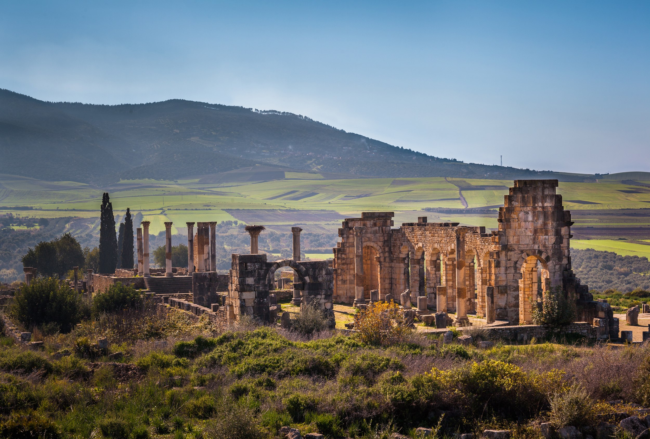 Volubilis: Hòa Quyện với Lịch Sử La Mã tại Maroc