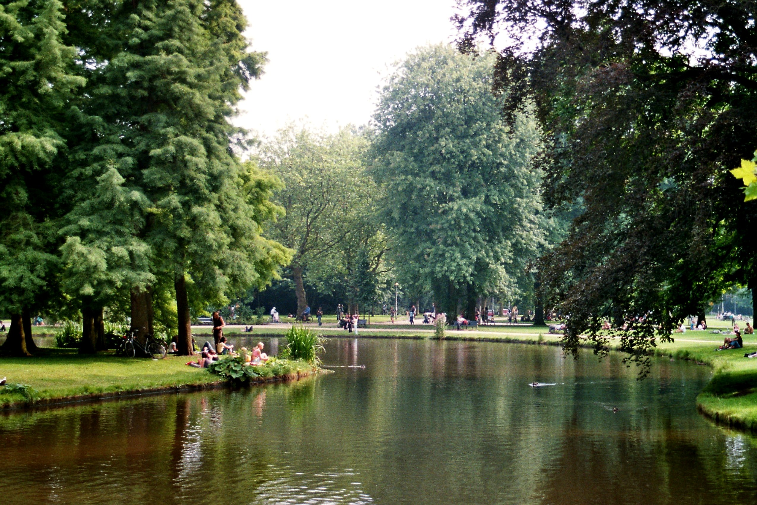 Vondelpark: Bản Nhạc Xanh của Amsterdam