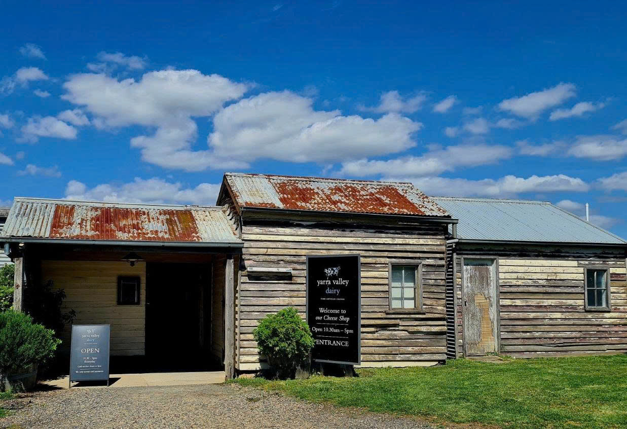 Yarra Valley Dairy – Nghệ Thuật Sản Xuất Phô Mai Tươi Tại Vùng Yarra Valley