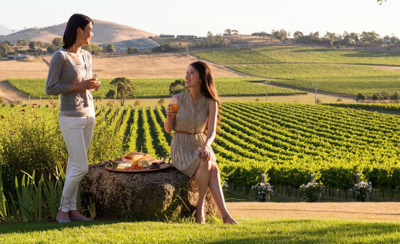 Thung lũng Yarra: Điểm đến lý tưởng của Úc