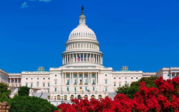 Khám phá mùa hoa Anh Đào tại Hoa Kỳ