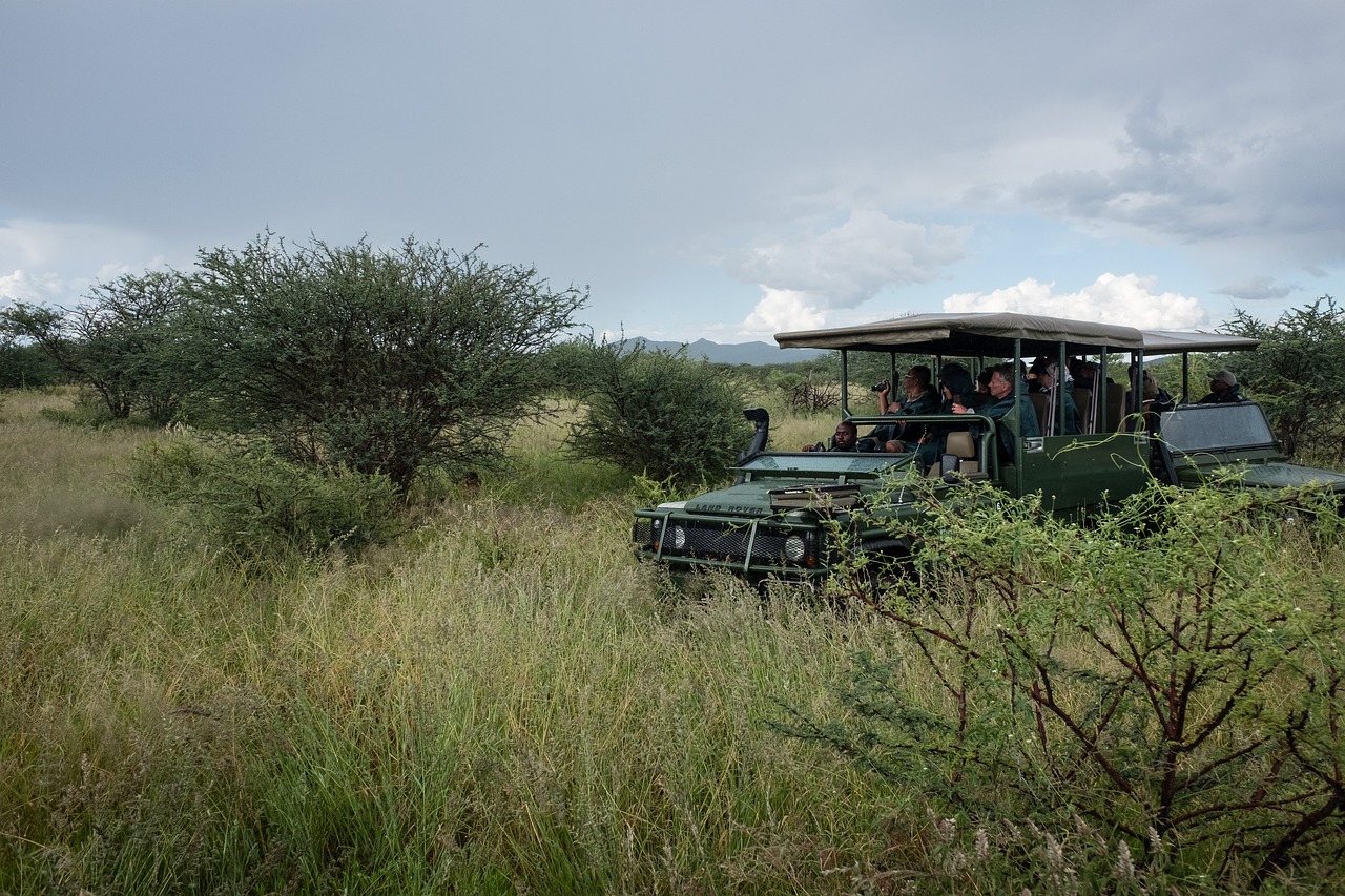 Trải Nghiệm Sri Lanka Safari Động Vật Hoang Dã, Biển Và Trà Ceylon