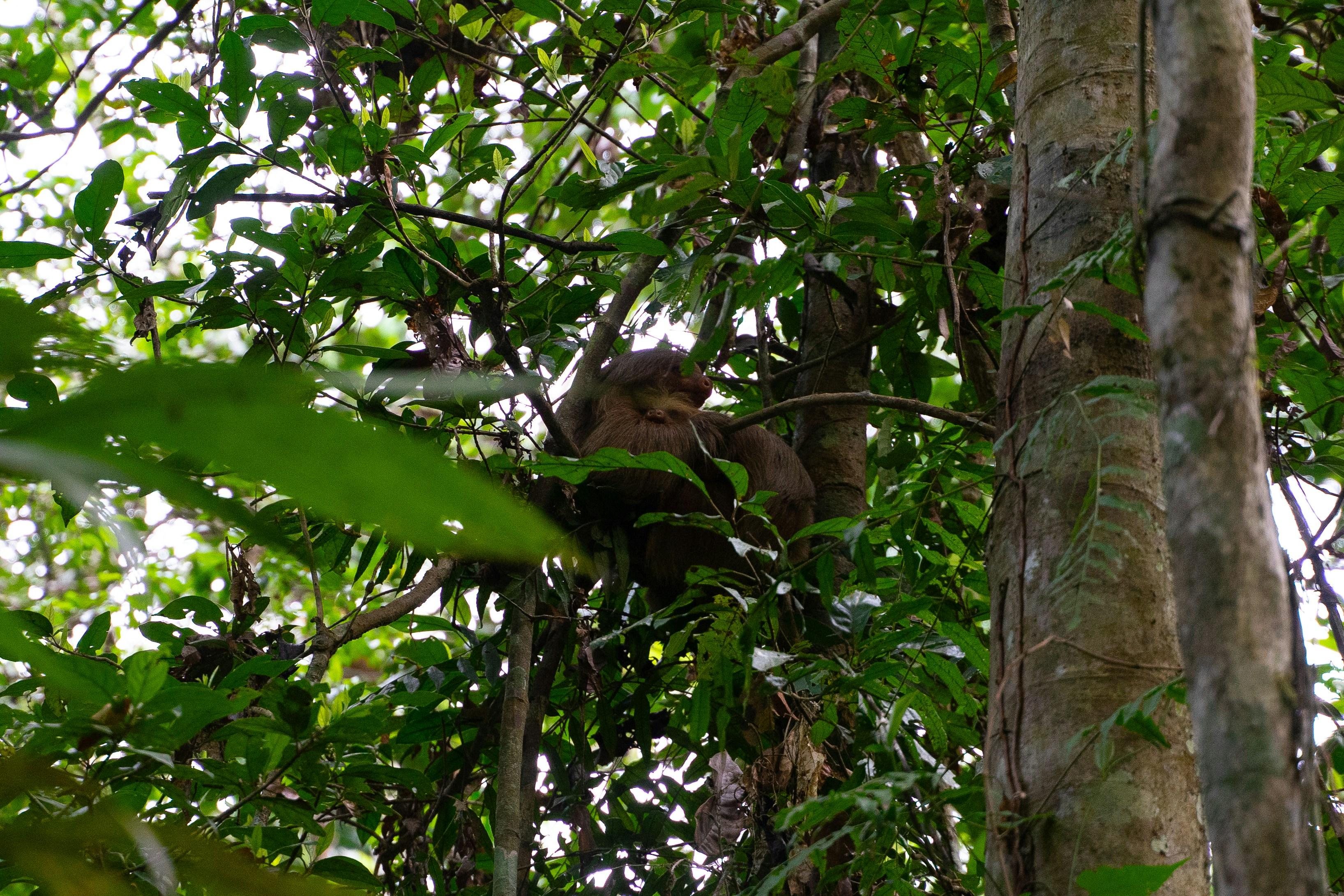 Tham quan Ultimate Peru, Argentina và Brazil