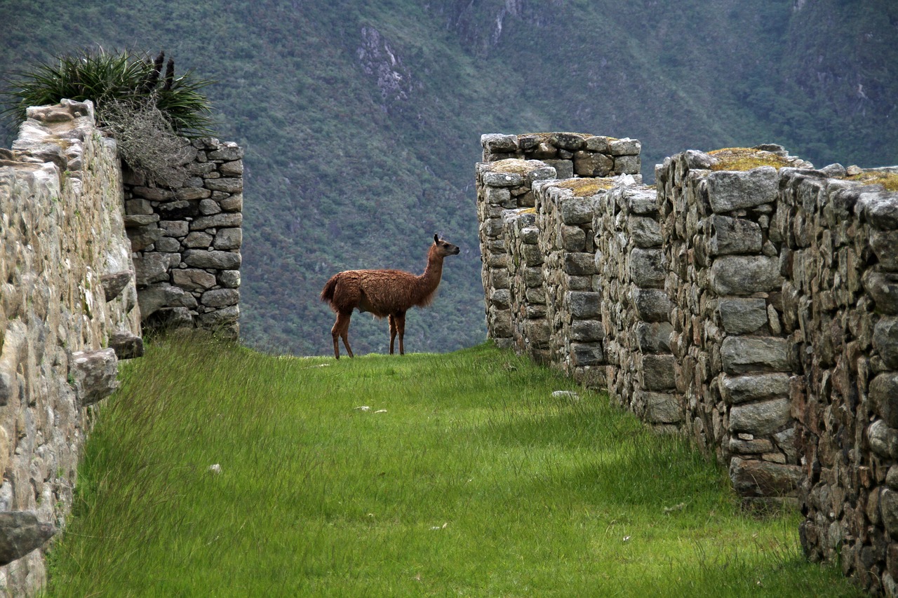 Vùng đất linh thiêng của người Inca
