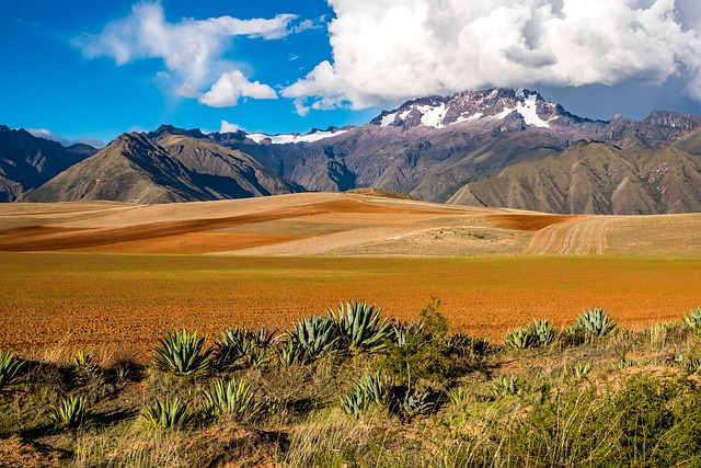 6 ngày khám phá Peru từ Lima đến Cusco