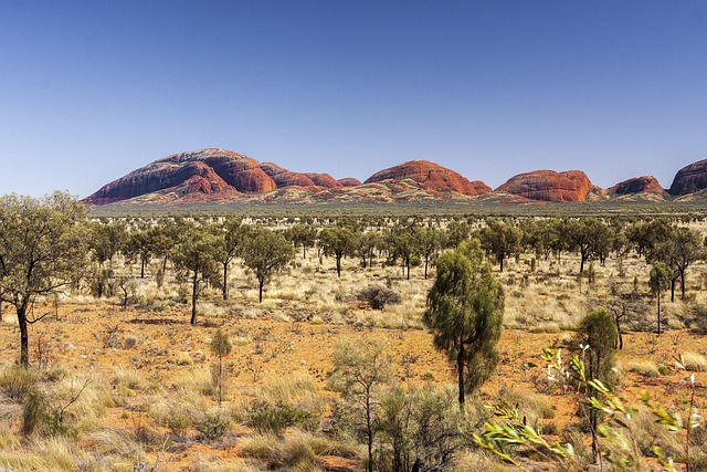 Khám Phá Uluru Và Kings Canyon Kỳ Quan Nước Úc
