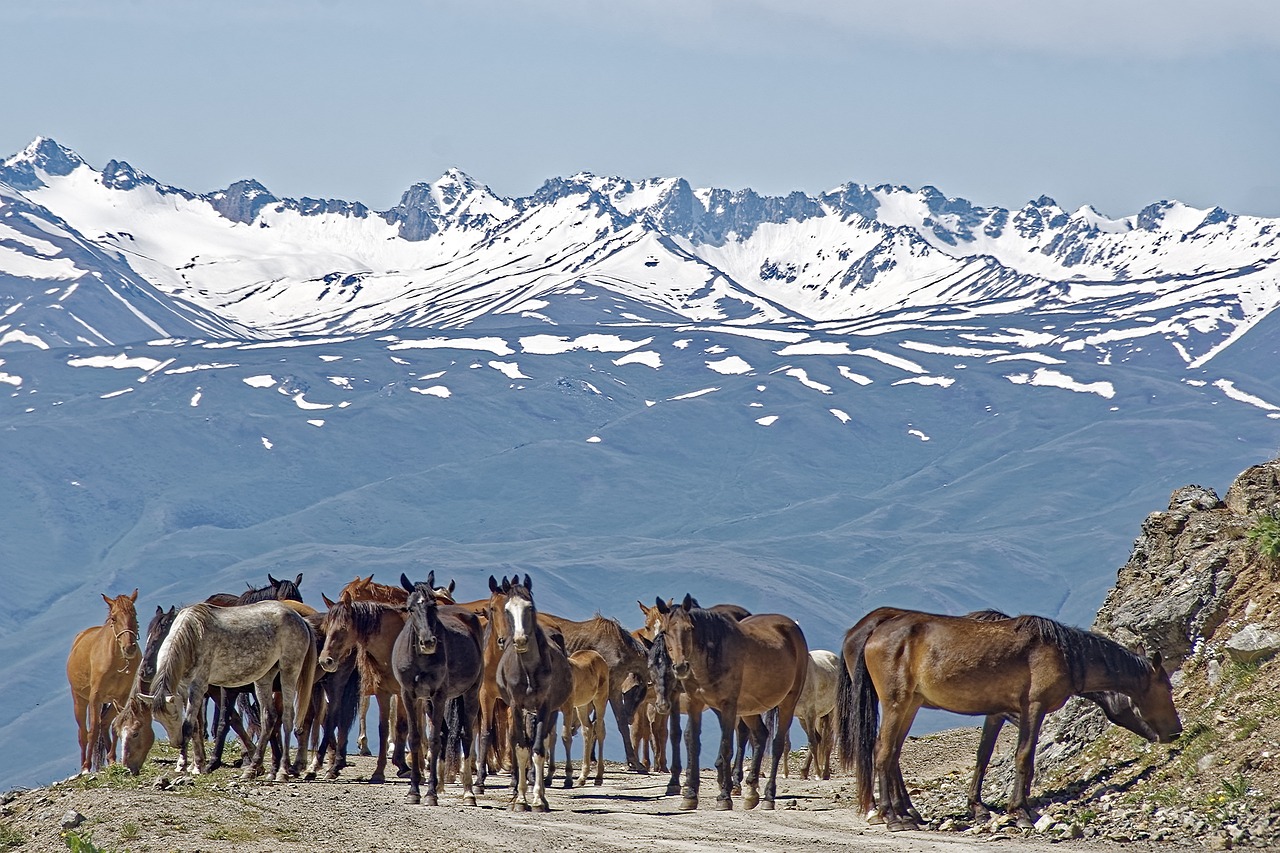 15 ngày Khám Phá Kazakhstan và Kyrgyzstan