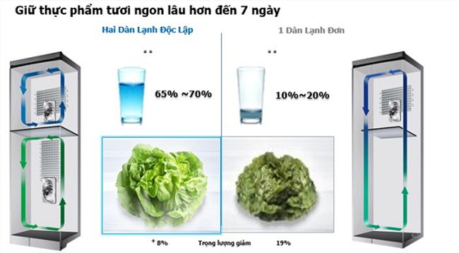 Khám phá những tính năng công nghệ của tủ lạnh Hitachi R-FW690PGV7 GBW - hệ thống làm lạnh kép