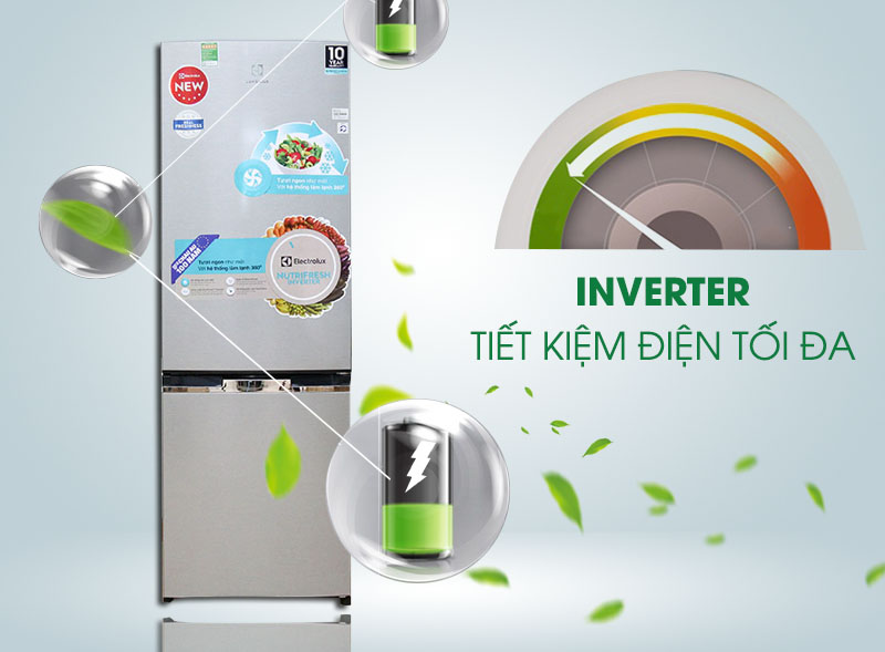 Tủ lạnh Electrolux 251 lít EBB2600MG-XVN