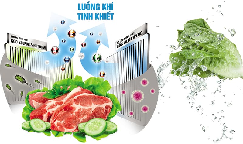 Tủ lạnh Inverter TOSHIBA GR-M25VBZ/DS - 186 Lít