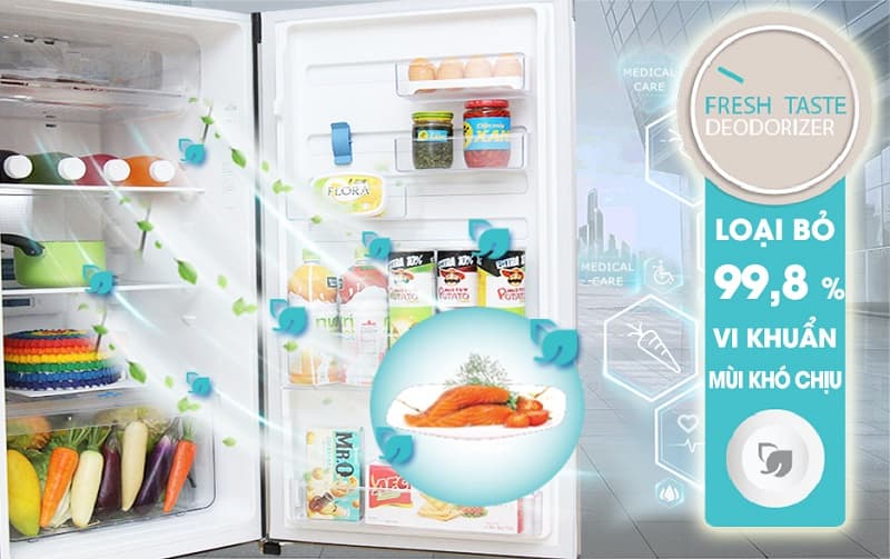 Tủ lạnh tiết kiệm điện Electrolux ETB2302BG 230 Lít