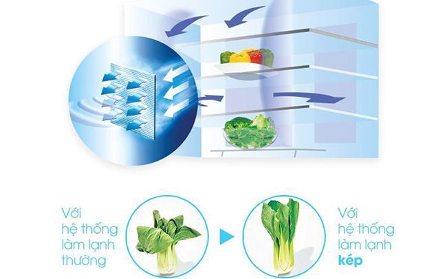 Review đánh giá tủ lạnh SBS Hitachi R-M700PGV2GS - hệ thống làm lạnh kép