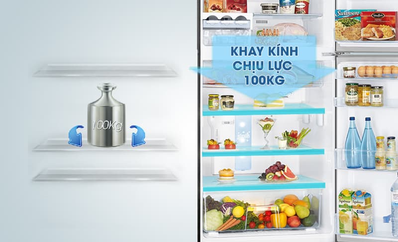 Tủ lạnh Samsung 256 lít RT25M4033UT/SV -1