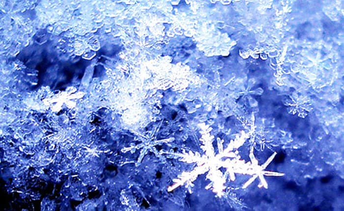 Tủ đông Alaska 550 lít BCD-5568C