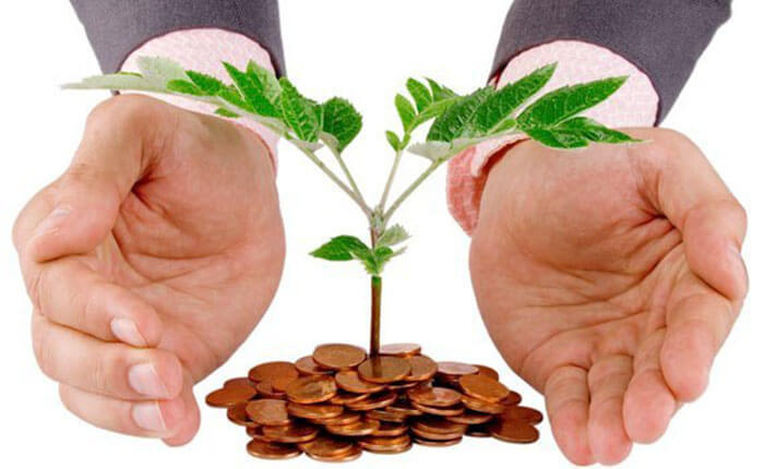 Tủ đông Alaska 450 lít BCD-4567N