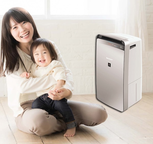Máy lọc không khí và hút ẩm Sharp DW-J27FV-S