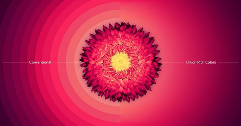 Billion Rich Color trên tivi LG