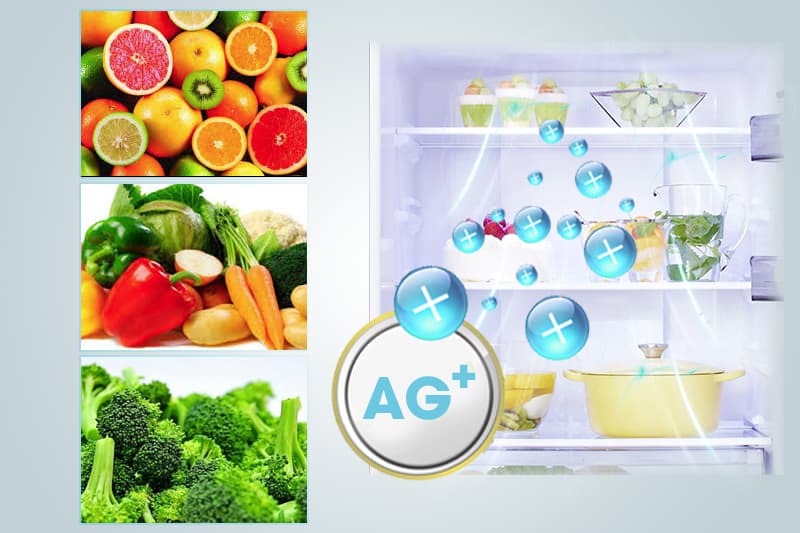 Tủ lạnh Panasonic NR-BX468GWVN - 450 Lít