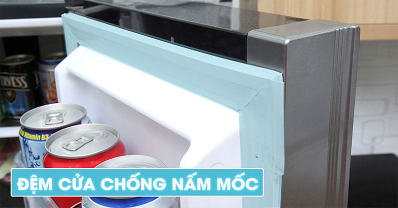 đệm cửa tủ lạnh hitachi