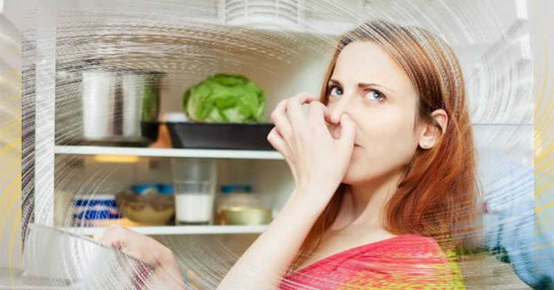 bộ lọc khử mùi 3 lớp tủ lạnh hitachi