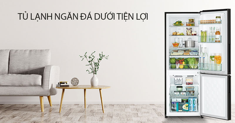 ngăn đá dưới tủ lạnh hitachi
