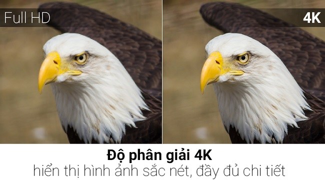 Tivi Samsung QA55Q8CNAKXXV