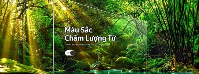 Tivi Samsung QA55Q8CNAKXXV