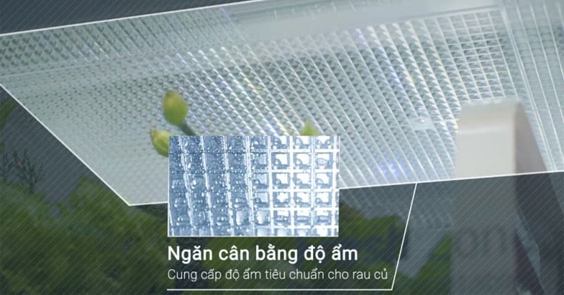 Ngăn rau quả cân bằng độ ẩm tủ lạnh LG