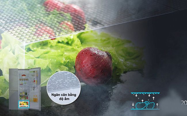 Tủ lạnh LG GR-R247LGB 675 lít Inverter có gì nổi bật? - ngăn cần bằng độn ẩm