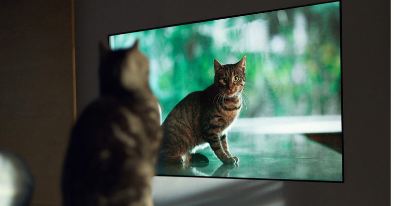 Chất lượng hình ảnh của tivi LG đẹp mọi góc độ