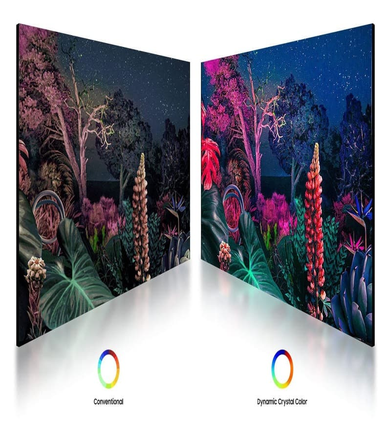 Công nghệ màu sắc Dynamic Crystal Color của Tivi Samsung Crystal UHD cho dải màu rực rỡ hơn hẳn