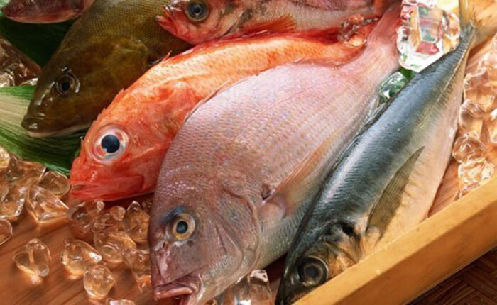 Tủ đông Sanaky 280 lít VH-2899A1