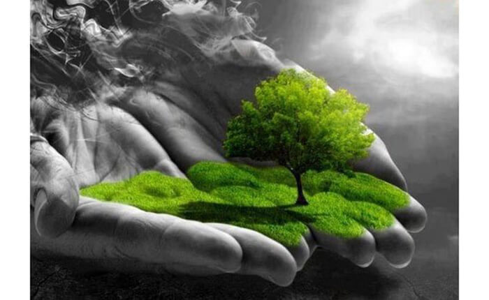 Tủ đông Sanaky 569 lít VH-5699W1