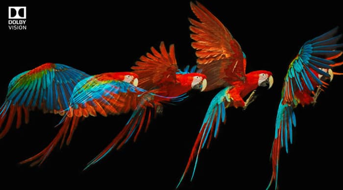 Cảnh quay chuẩn điện ảnh như xem tại rạp với công nghệ Dolby Vision